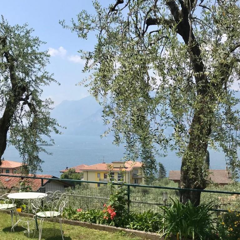Casa Rosa Apartments - Appartamento Standard - 5