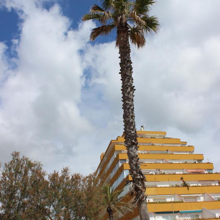 Beautiful apartment in front of beach, pool, view - Two-Bedroom Apartment - 23