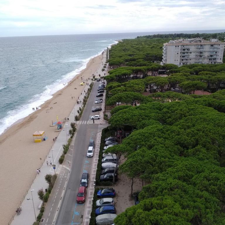 BRAVAHOLIDAYS-283-Palmeras-3 - Apartamento de 2 dormitorios - 19