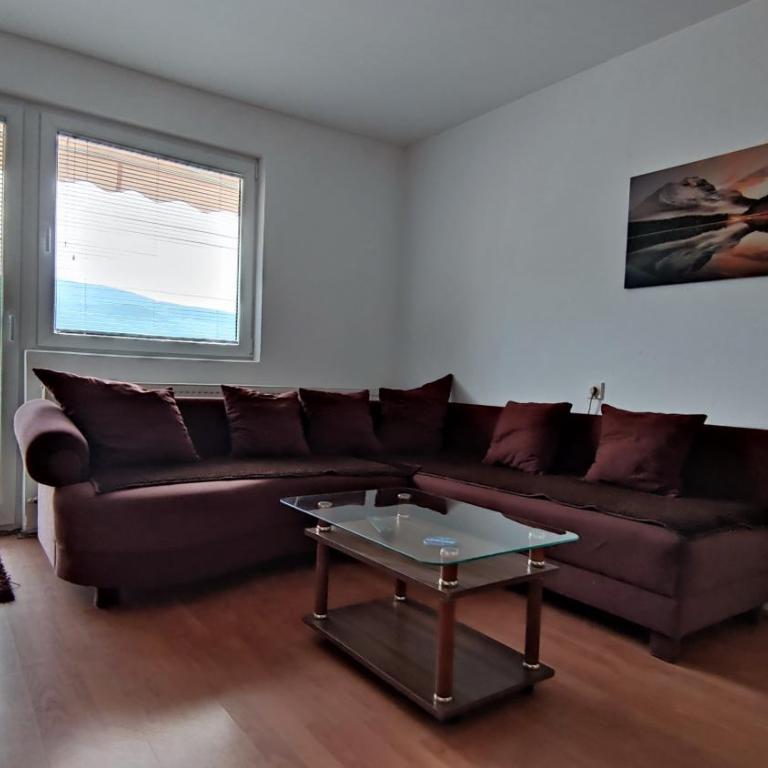 Apartman Trifunović Sokobanja - Apartman sa 1 Spavaćom Sobom - 9