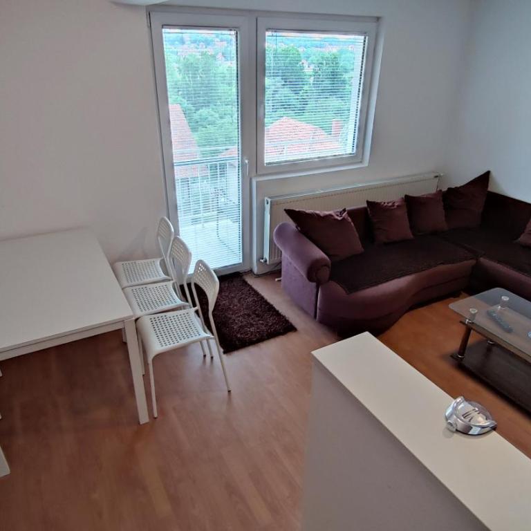 Apartman Trifunović Sokobanja - Apartman sa 1 Spavaćom Sobom - 15