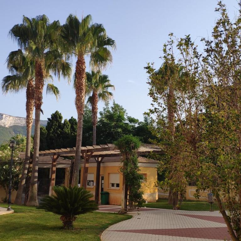 LOVELY APARTMENT DENIA, piscina, jacuzzi, pádel, parking - Apartamento de 2 dormitorios - 68