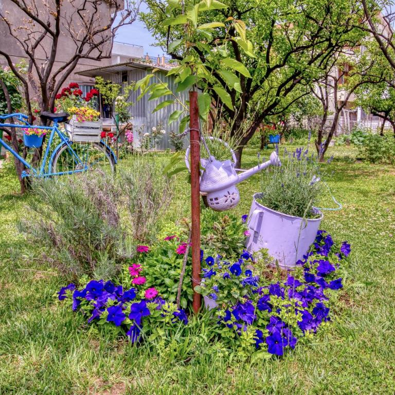 Apartments Suster - Apartment with Garden View - 9