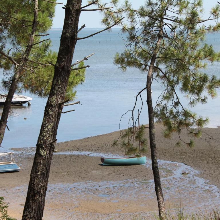 MAGNIFIQUES APPTS à 1 MINUTE DE LA PLAGE - Estudio con vistas al jardín - 9
