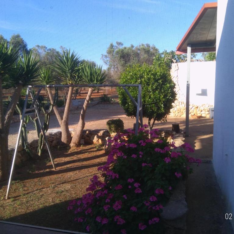 Villino Mediterranea - tra ulivi e mare by My Home Apulia - Three-Bedroom House - 26
