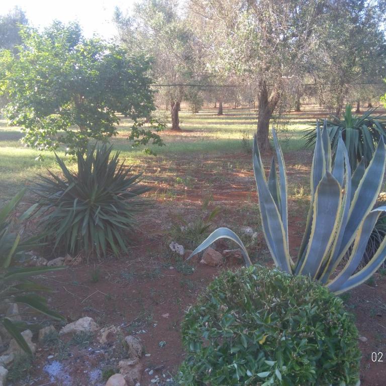 Villino Mediterranea - tra ulivi e mare by My Home Apulia - Three-Bedroom House - 34