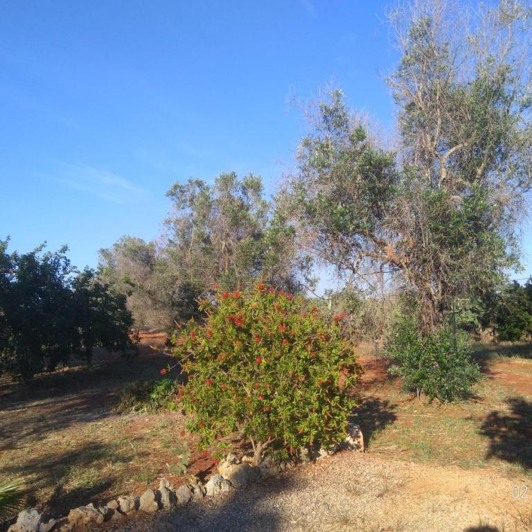 Villino Mediterranea - tra ulivi e mare by My Home Apulia - Three-Bedroom House - 38