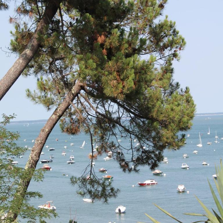 MAGNIFIQUES APPTS à 1 MINUTE DE LA PLAGE - Apartamento de 1 dormitorio - 13
