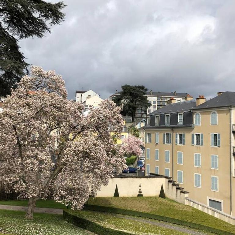 Magnolia : Superbe deux-pièces quartier du Château - Appartement 1 Chambre - 12