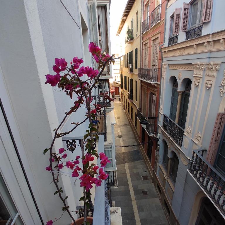 Málaga Centro - Apartamento de 2 dormitorios - 7