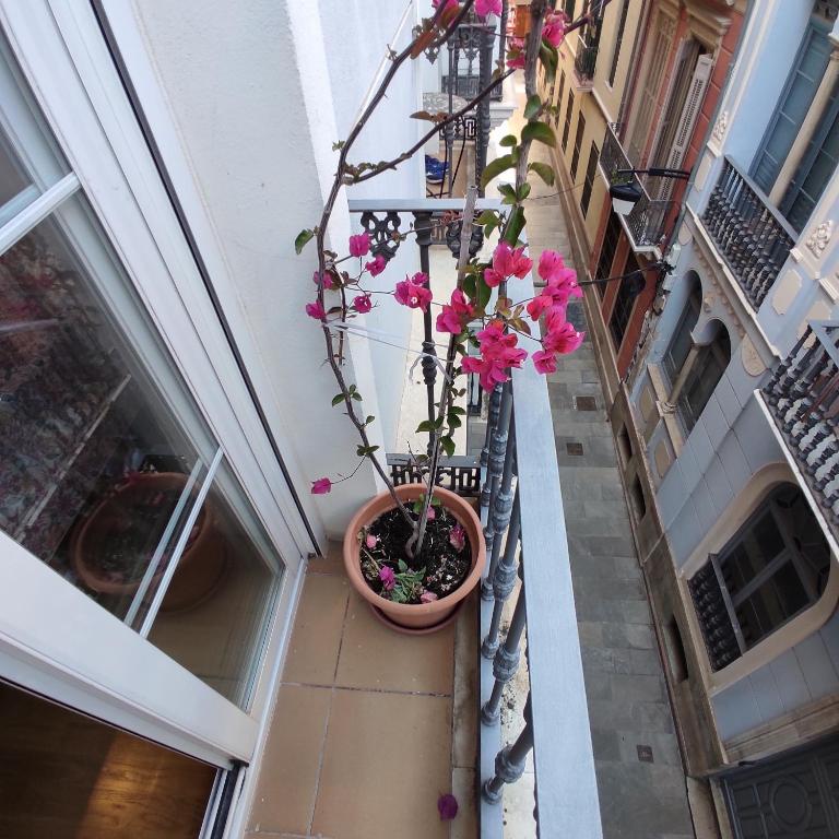 Málaga Centro - Apartamento de 2 dormitorios - 6