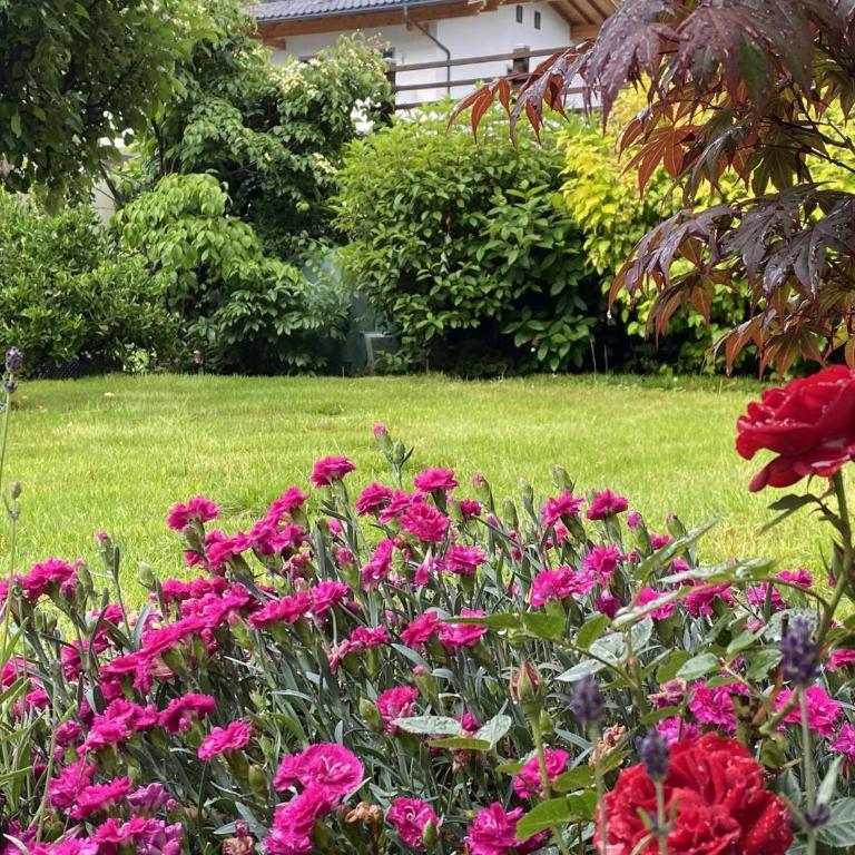 Apart M - Apartment mit 2 Schlafzimmern und Badezimmer - 29