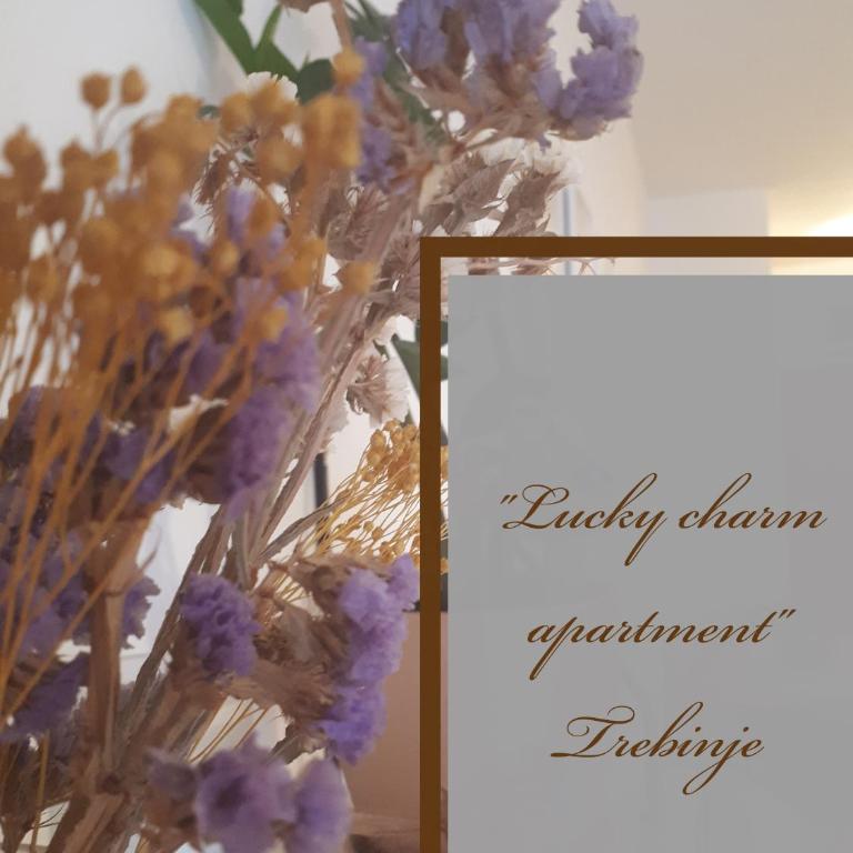 Lucky Charm studio apartment - Studio - 1