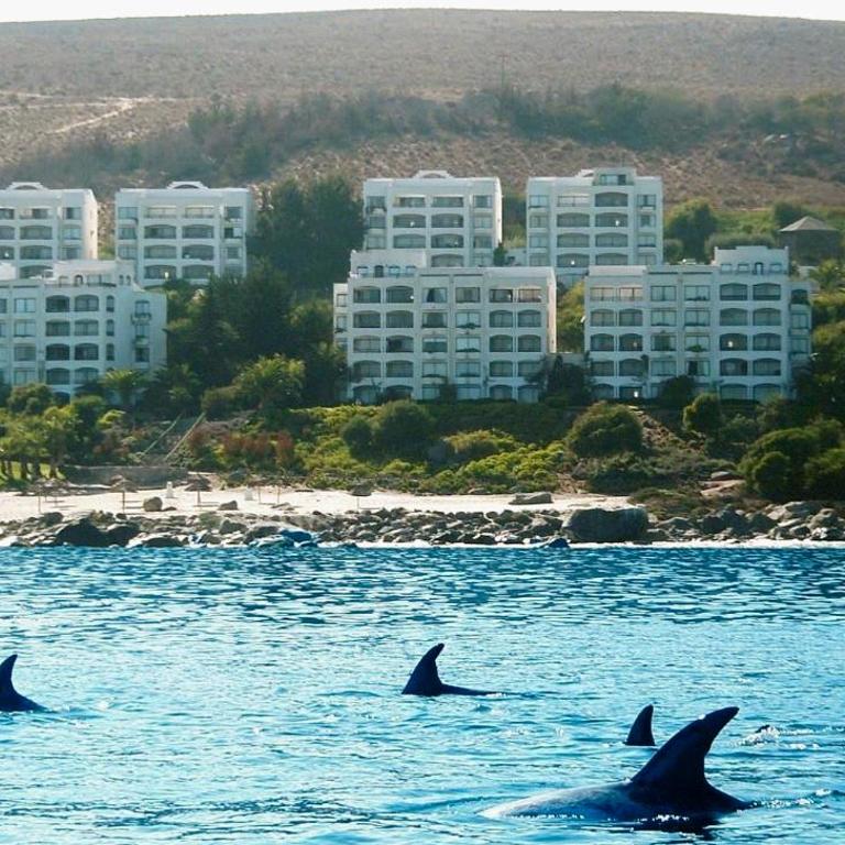 Puerto Velero Primera Línea Primer Piso al lado de la Playa! 8pax - Apartamento de 3 dormitorios - 38