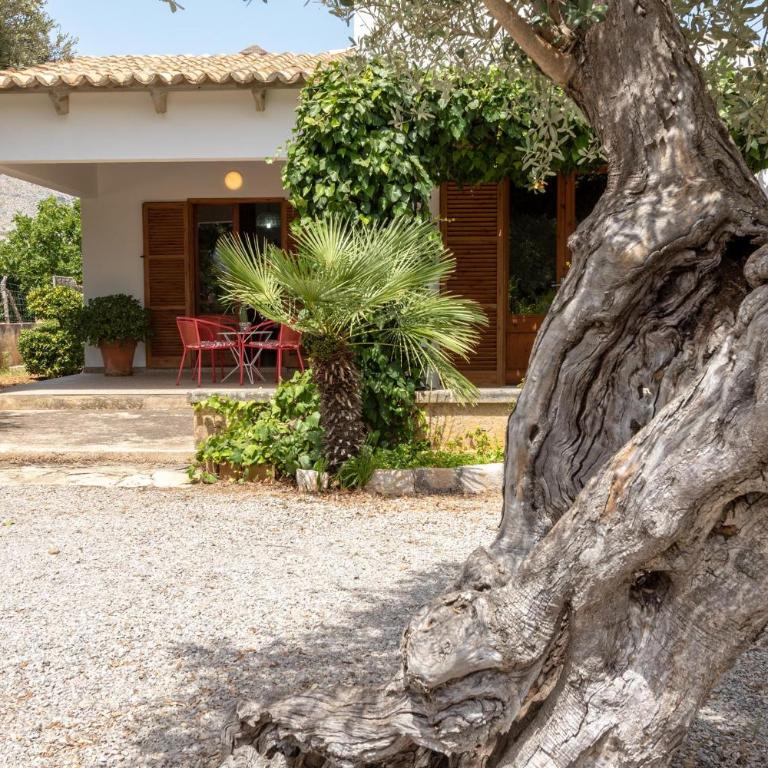 Villa La Vinya Can Oliver - Oliver - Villa - 2