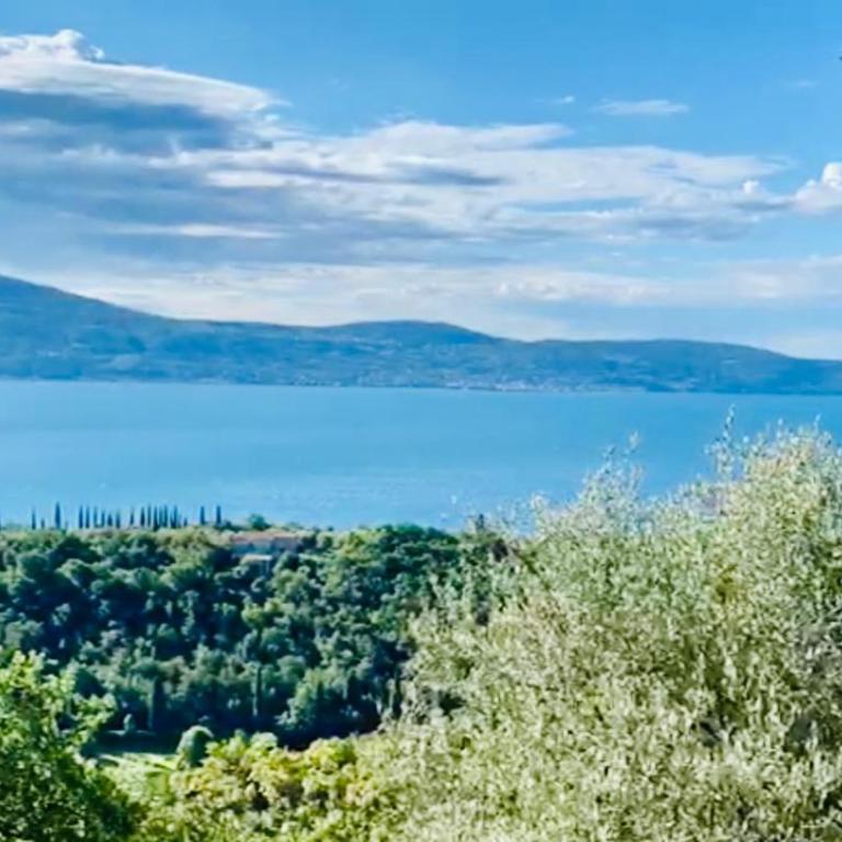 Residence Olivi - Panorama Lake View, Pool, Terrace, Garden, Wifi - Appartamento con 1 Camera da Letto - 5