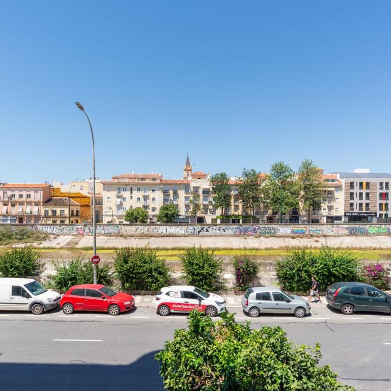 MALAGA PICASSO CENTRO HISTORICO PARKING GRATIS sr1 - Apartamento de 3 dormitorios - 11