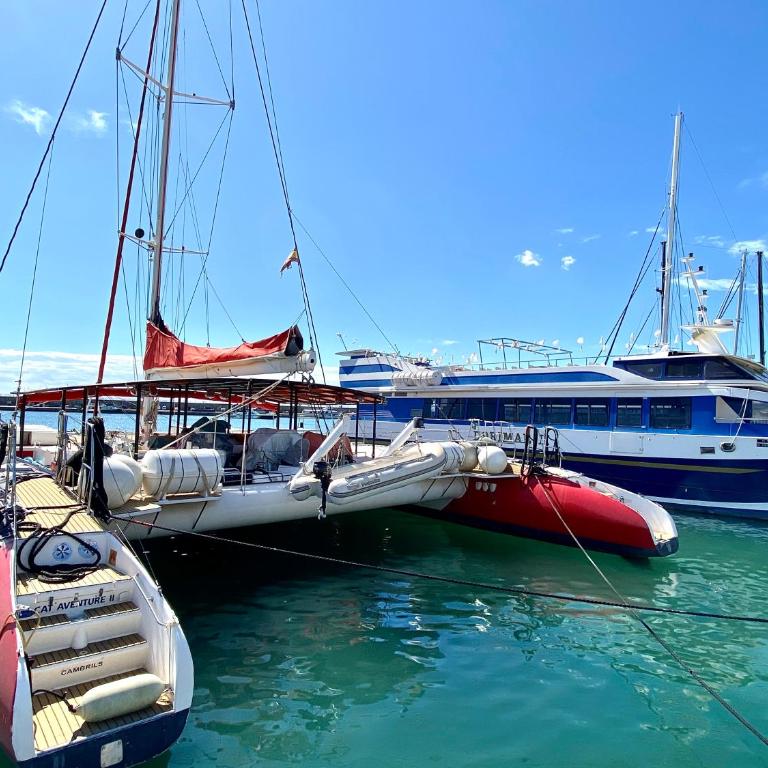 Apartamento acogedor en el Puerto de Cambrils - Apartamento de 2 dormitorios - 20
