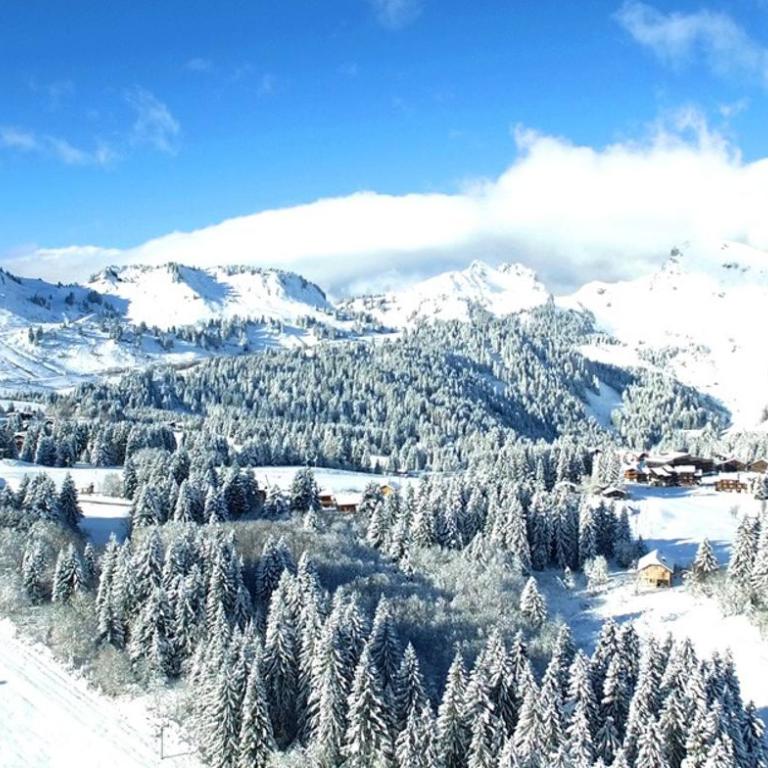 studio cabine Praz de Lys - Appartement 1 Chambre - 45