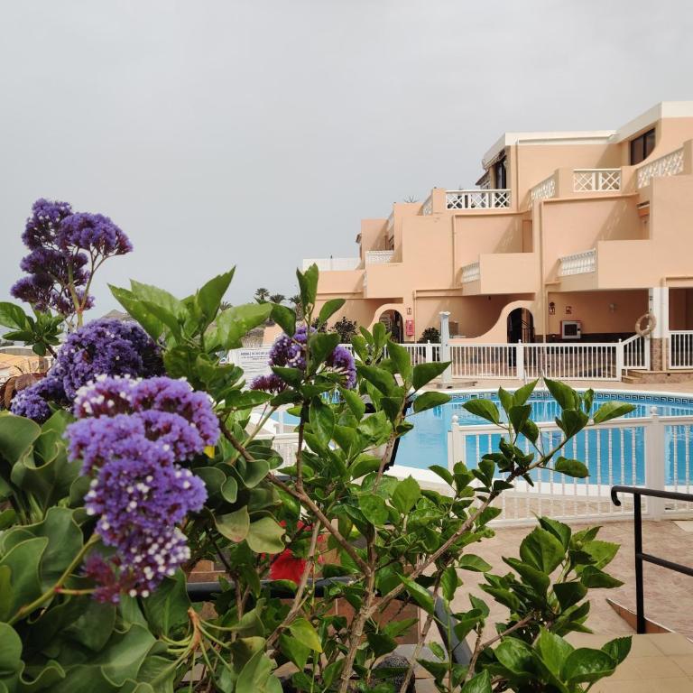 Golden Paradise Seaview - Apartamento - 3