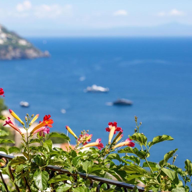 il Pettirosso in Positano - Vacation Home - 14