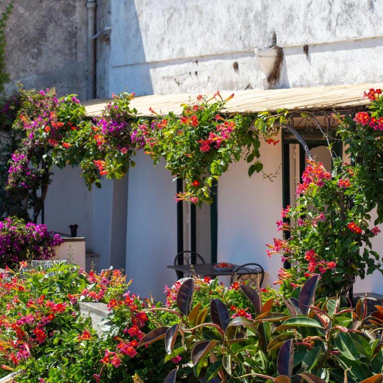 il Pettirosso in Positano - Vacation Home - 34