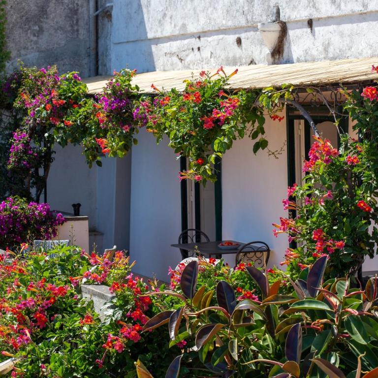 il Pettirosso in Positano - Vacation Home - 42