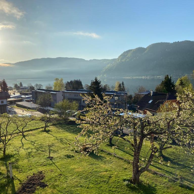 Landhaus Marmorata - Studio-Ferienwohnung mit Seeblick - 10