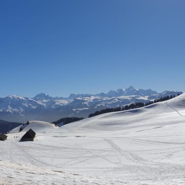 studio cabine Praz de Lys - Appartement 1 Chambre - 20