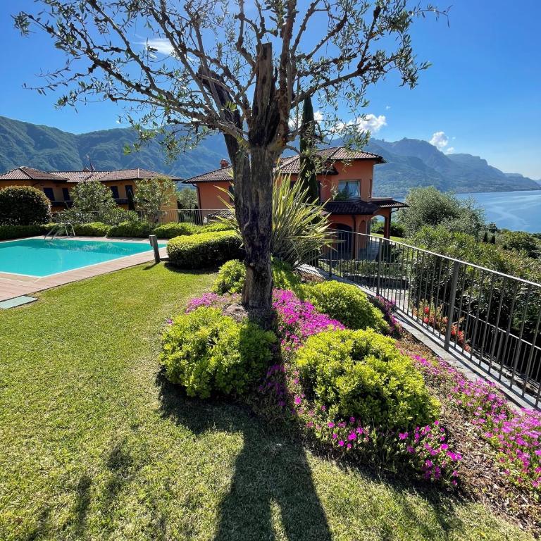 Maison Casa Lavanda - Appartamento - 6