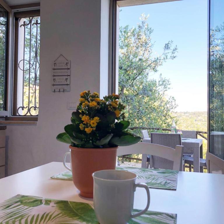 Relax e Belvedere - Appartamento con Vista Giardino - 16