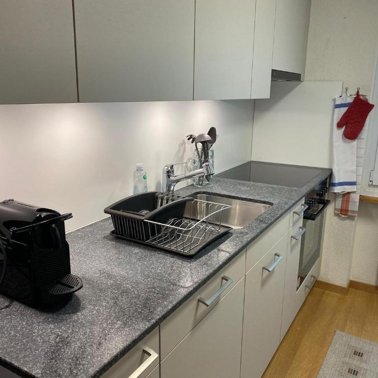 Superior Apartment 100m2 Bodmisonne - Grindelwald - Apartamento de 3 dormitorios - 12