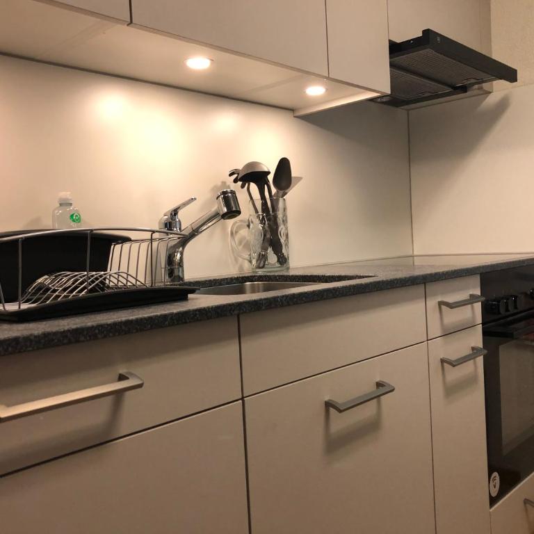 Superior Apartment 100m2 Bodmisonne - Grindelwald - Apartamento de 3 dormitorios - 13