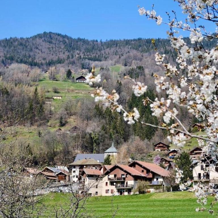 Appartement 75m2 duplex au cœur du village de Queige - Apartment mit 2 Schlafzimmern - 11