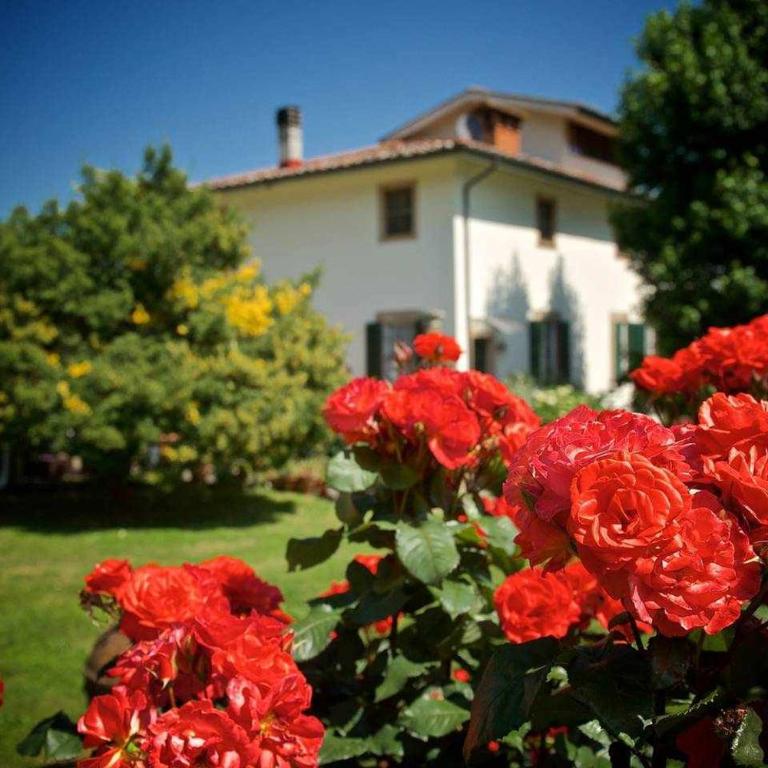 Villa Rossini - Casa con 2 Camere da Letto - 42