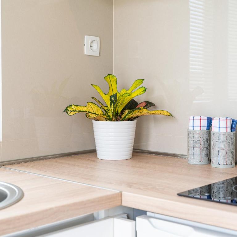 Sun and Sea Apartments - Apartman sa Pogledom na More - 20