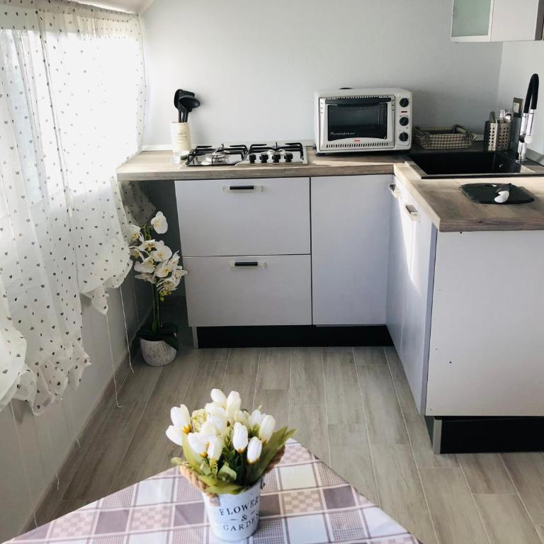 Villa Nepi apartments - Superior Studio - 14