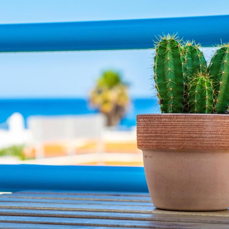 H El Palmeral Playa - Habitación Doble Deluxe con balcón y vistas al mar - 8