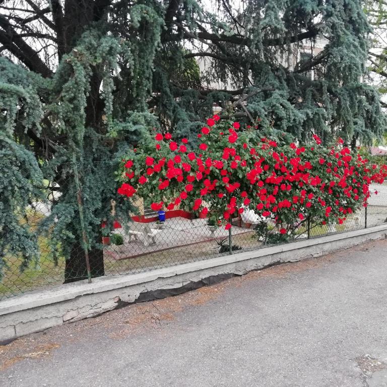 VILLA LILLI - Appartamento con 1 Camera da Letto - 39