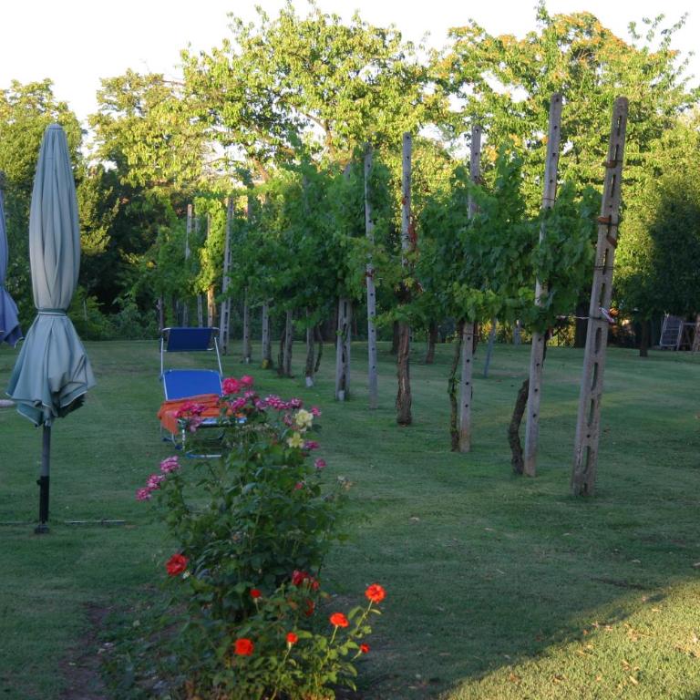 VILLA LILLI - Appartamento con 1 Camera da Letto - 45