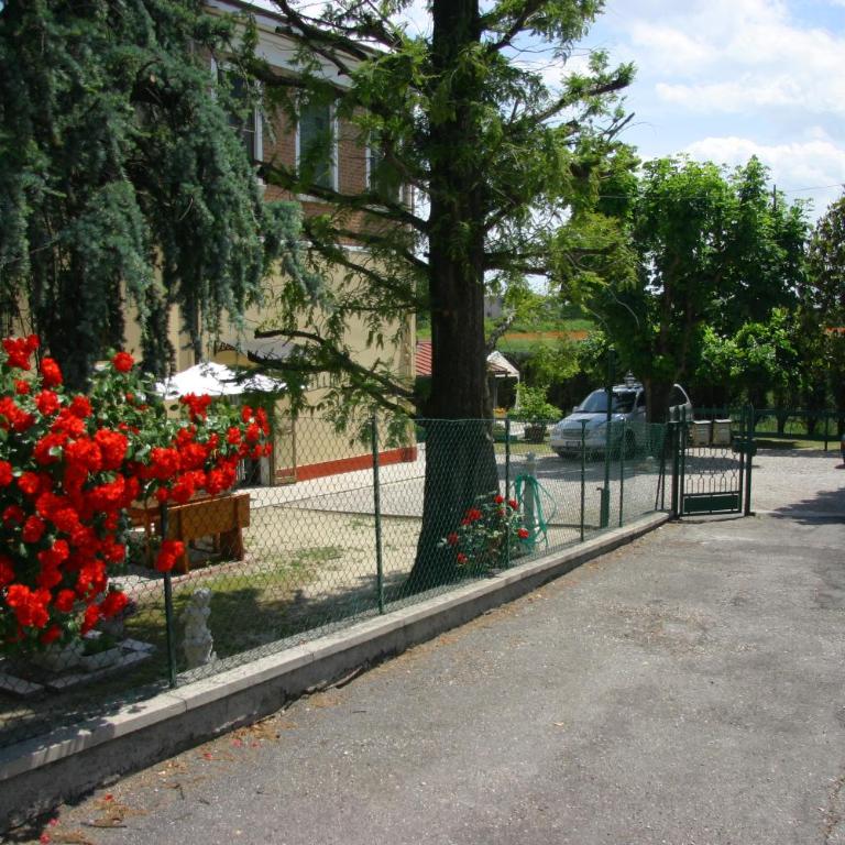 VILLA LILLI - Appartamento con 1 Camera da Letto - 48