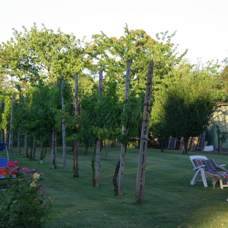 VILLA LILLI - Appartamento con 1 Camera da Letto - 55