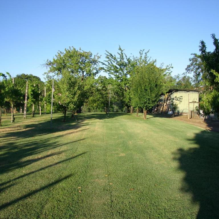 VILLA LILLI - Appartamento con 1 Camera da Letto - 60
