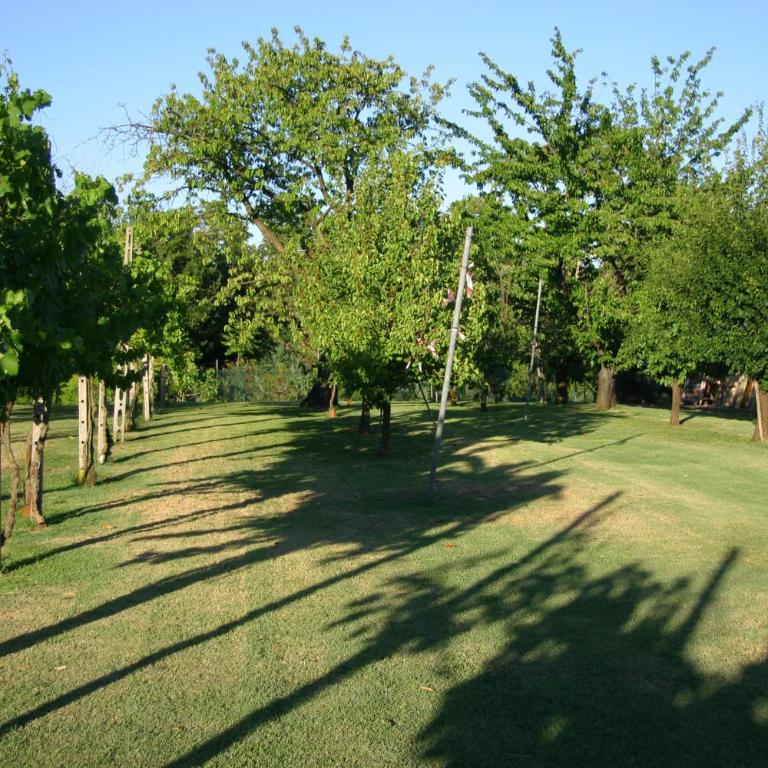 VILLA LILLI - Appartamento con 1 Camera da Letto - 58