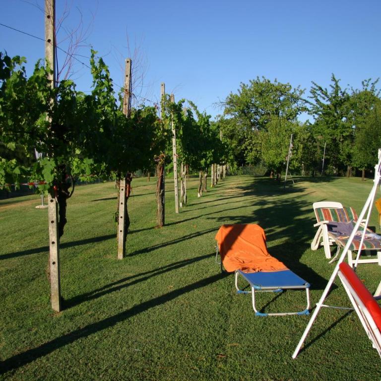 VILLA LILLI - Appartamento con 1 Camera da Letto - 65