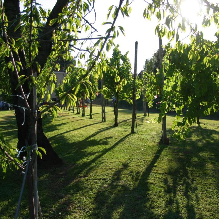 VILLA LILLI - Appartamento con 1 Camera da Letto - 69