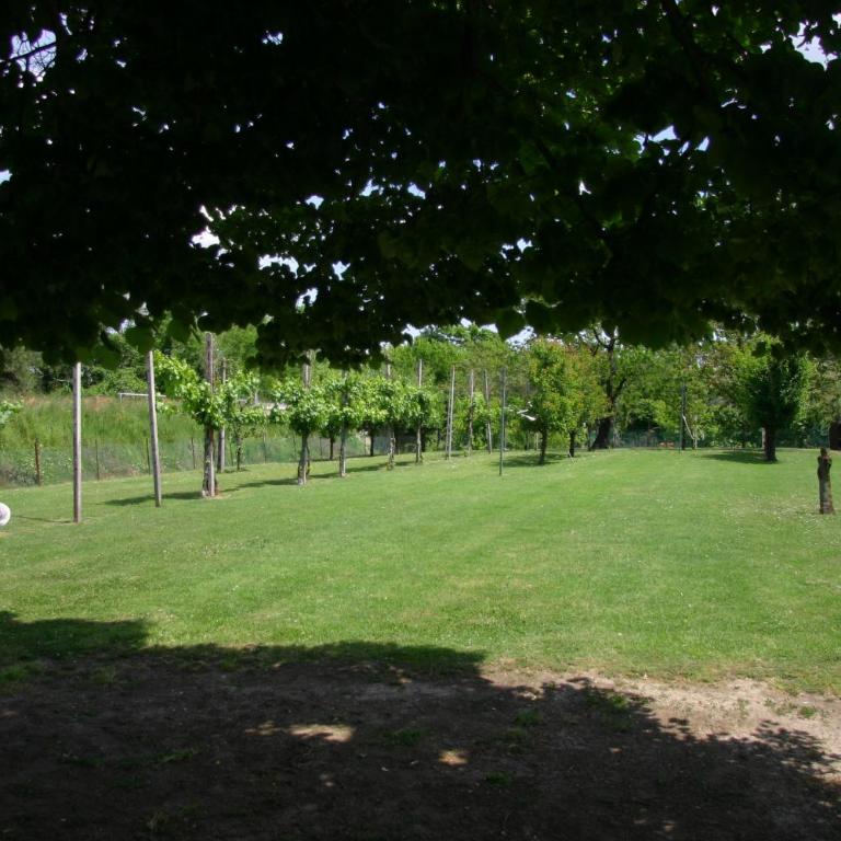 Villa Lilli 3 - Appartamento con Vista Giardino - 66