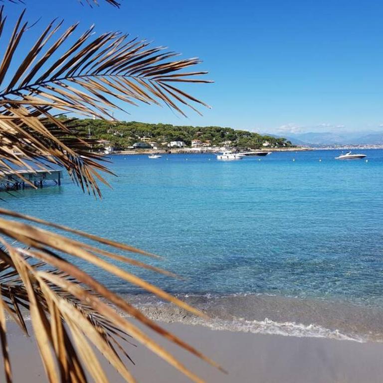 LE DUCAL - Marina Baie des Anges - Appartement 1 Chambre - 17