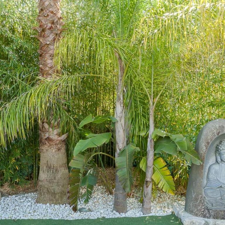 Villa in Juan-Les-pins with heated pool - Villa - 24