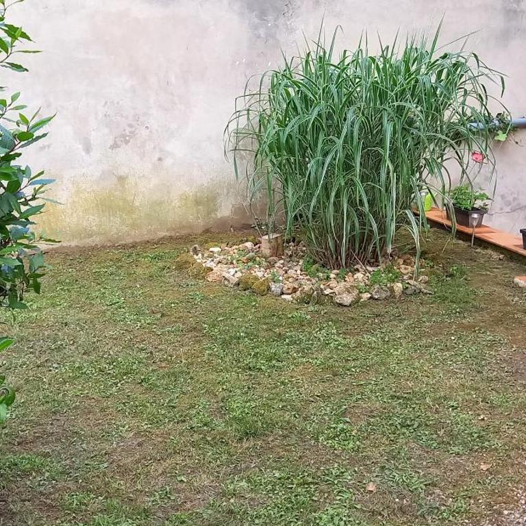 studio au frais avec terrasse et jardinet en centre ville - Studio-Apartment - 2